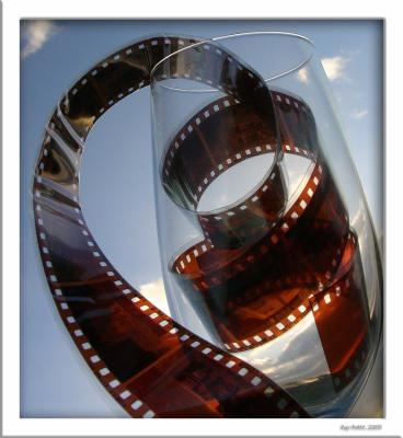 January 8 2005:  A Glass of Film