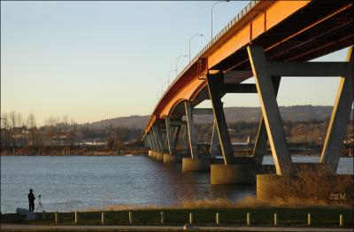 The  bridge photographer