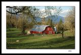 Red barn - springtime