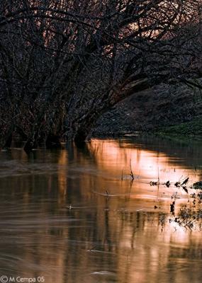 flood reflections