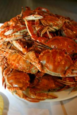 Nearby Roxas city produces some of the world's best seafood