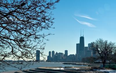 city_trees3.jpg
