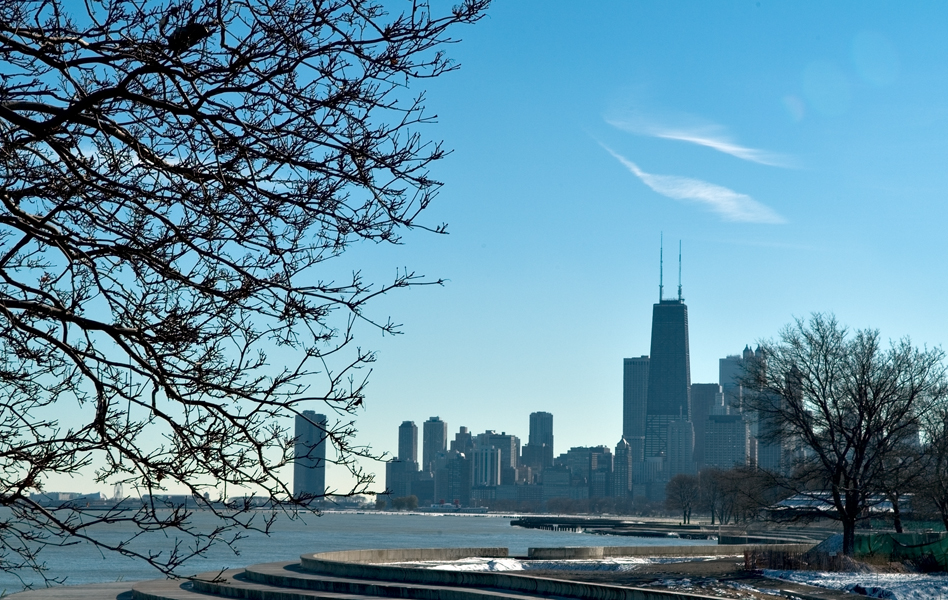 city_trees3.jpg