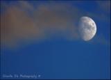 The morning moon...