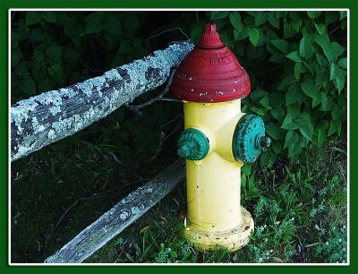 Colorful hydrant