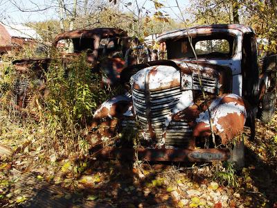 And lots of old trucks! Pickups (truck, antique)