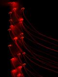 DSC00541.JPG