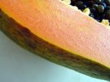 DSC00567.JPG