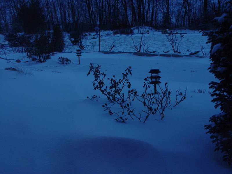 January 5, 2005<br><font size=2>How Blue</font><br>Day 244