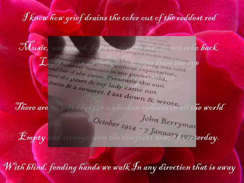 January 7, 2005<br><font size=2>Rebuilding the Spheres</font><br>Day 246