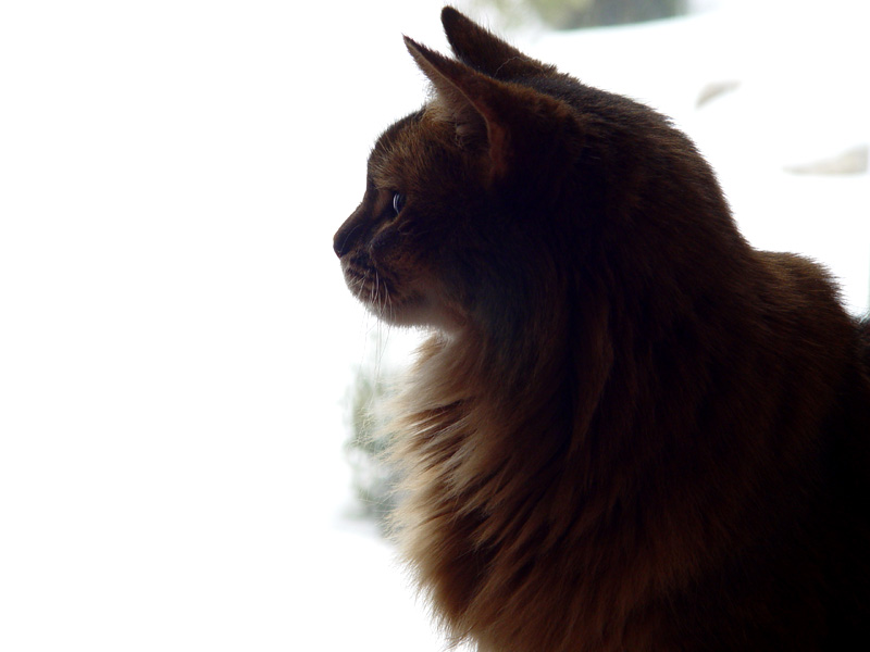 DSC00582.JPG
