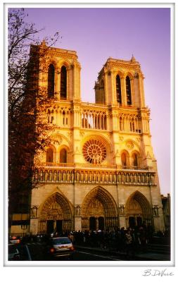 Notre Dame Cathedral, Paris