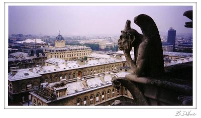 Boredom, Notre Dame Cathedral, Paris