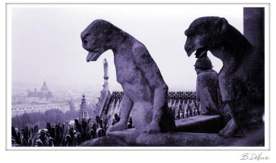merde!, Notre Dame Cathedral, Paris