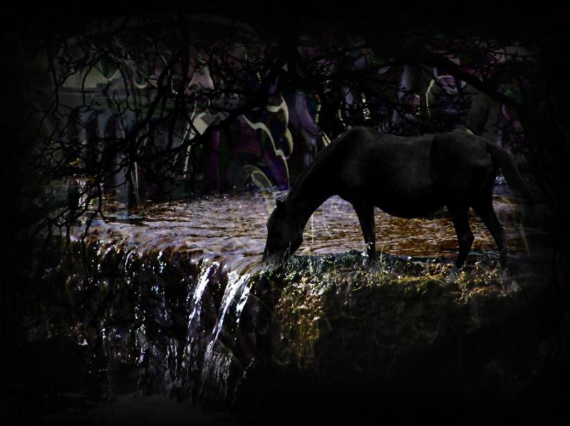 START HERE: Completed Image, Then choose next to follow the tutorial. Enjoy! From Sage.