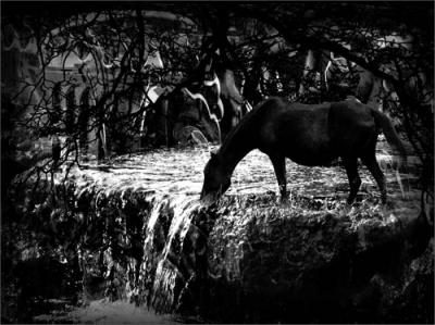 u13/creativematrix/medium/38571935.14blackandwhite.jpg
