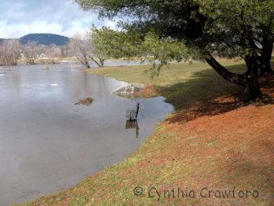 Flooded Field-Ottaquechee river