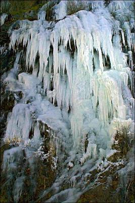 Sub Zero (*)