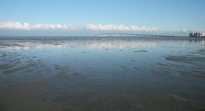 Low Tide at Mariner's Point *