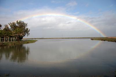 Reflected Rainbow *