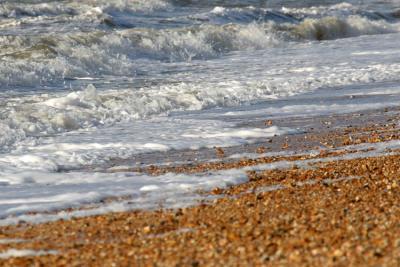 Breaking Waves