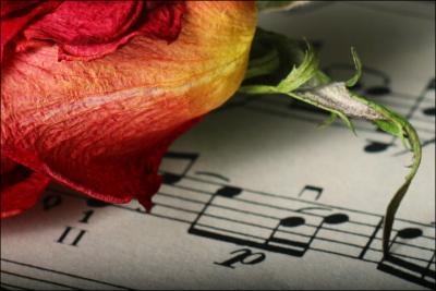 Aged Rose & Beautiful Music