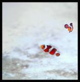 Spots of red *