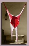 The Hanging *
