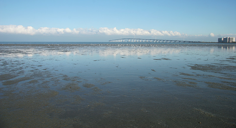 Low Tide at Mariners Point *