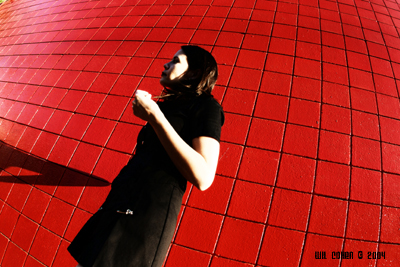 Seeing Red*  By Wil Cohen