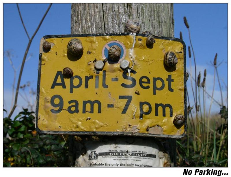 No Parking...