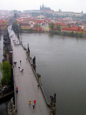 Charles Bridge In Rain