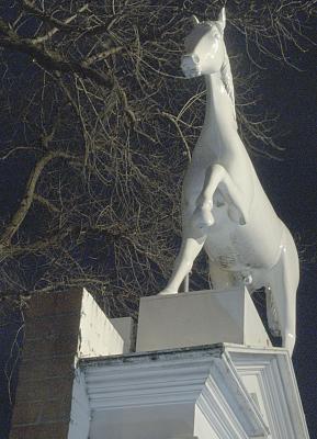 Whitehorse 1
