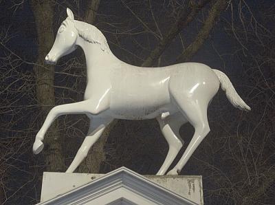 Whitehorse 2