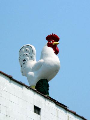 Tribute To The Egg
