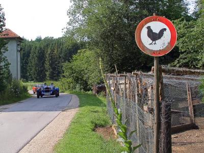 Road Not Allowed For Chicken*