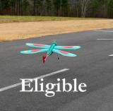 Challenge 24<br> <b>Eligible</b>