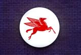 The Flying Horse     *