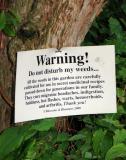 Dont Mess with the Weeds*