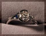 <B>She Said Yes</b> *