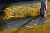<b> 5th: </b> ... the time is gone, the song is over ... <b>by Alexeig </b>