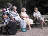 A Chat In The Park