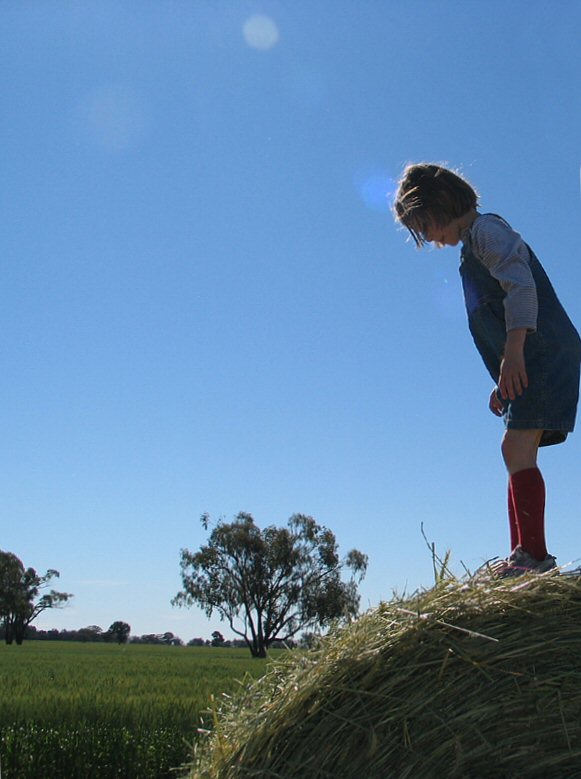 harvest-kid