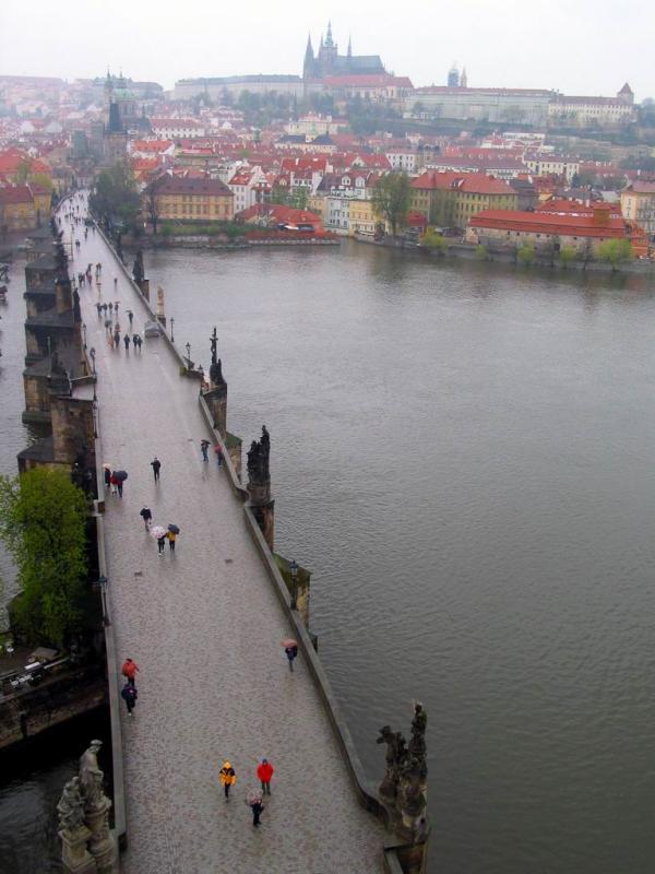 Charles Bridge In Rain