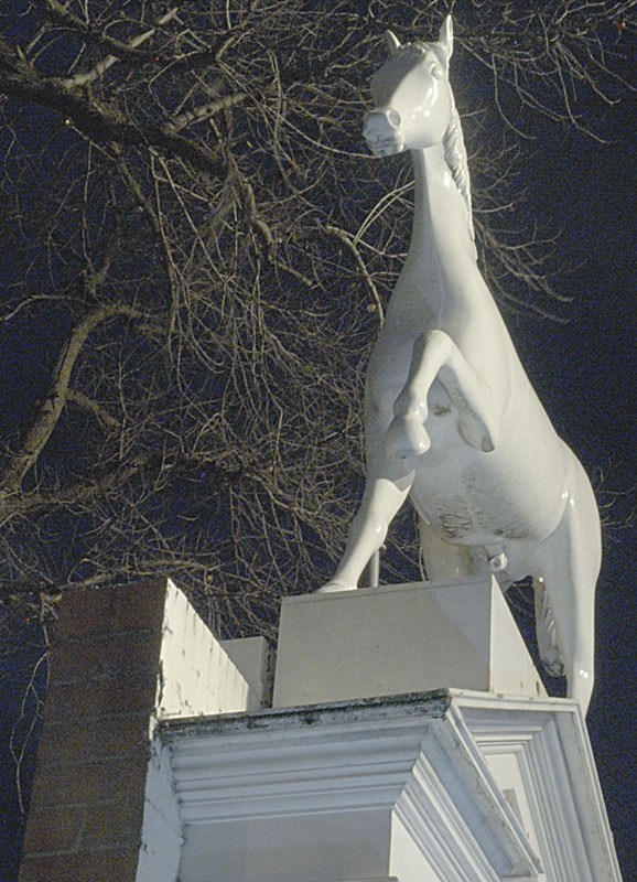 Whitehorse 1