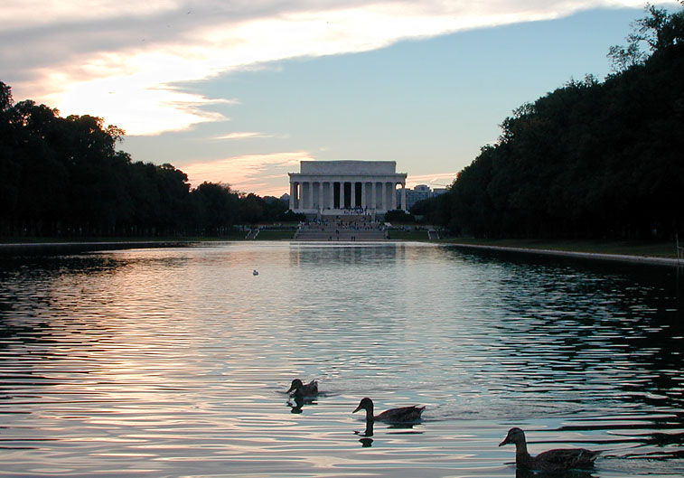 Mr.  Duck goes to Washington