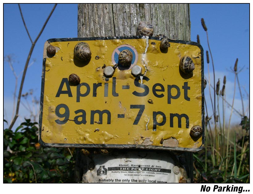 No Parking...