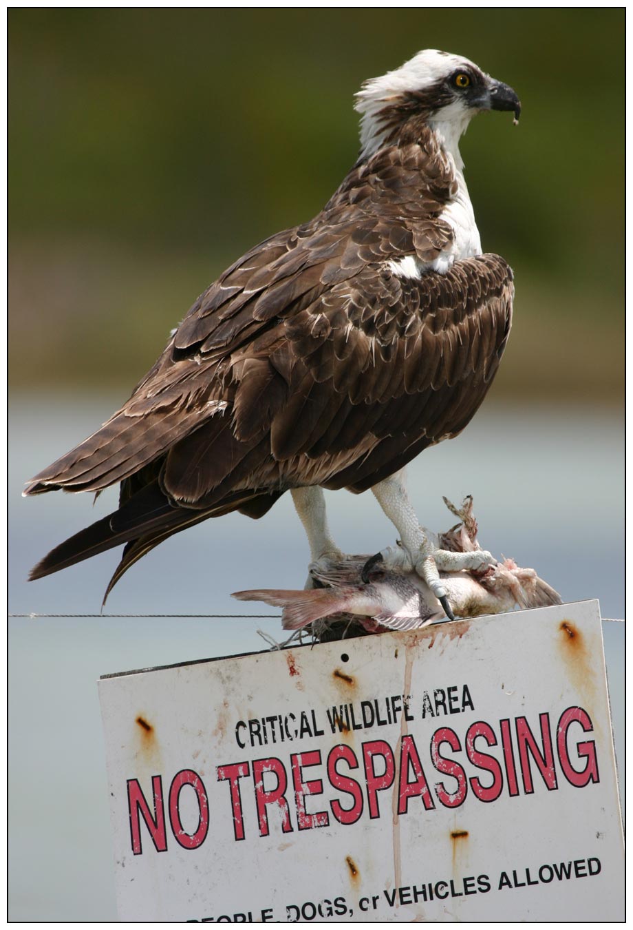 No Trespassing<br>5th Place<br>Jon M