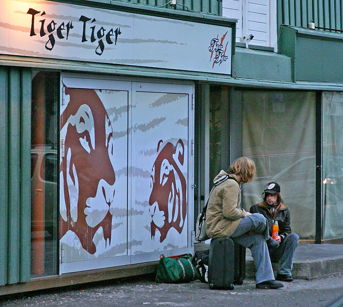 Two tigers *