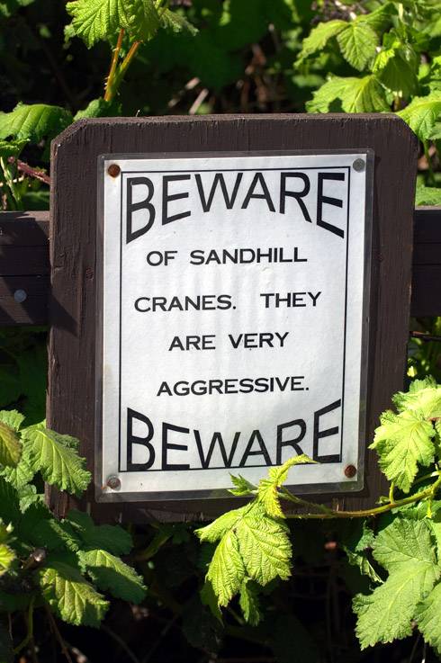 Beware (*)